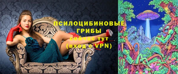 сатива Балабаново